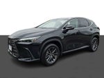 2024 Lexus NX NX 350