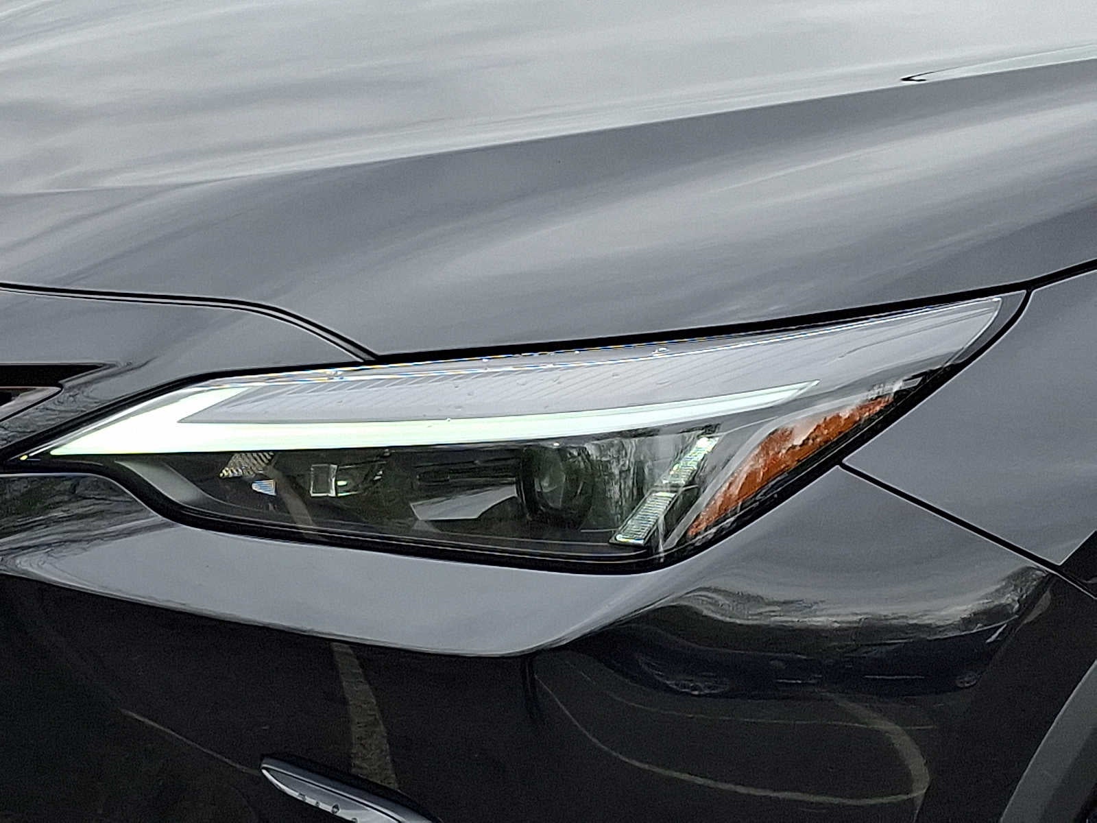 2024 Lexus NX NX 350