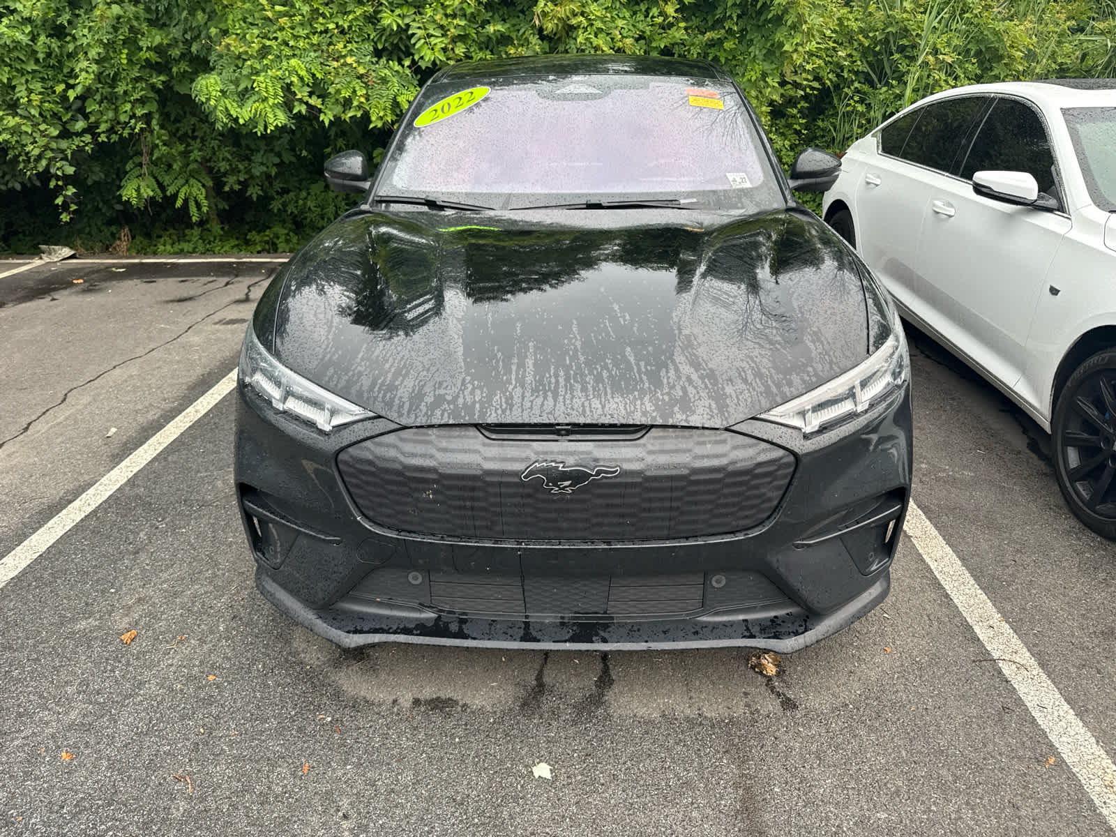 2022 Ford Mustang Mach-E GT