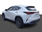 2025 Lexus NX NX 350 Premium