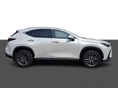 2025 Lexus NX NX 350 Premium