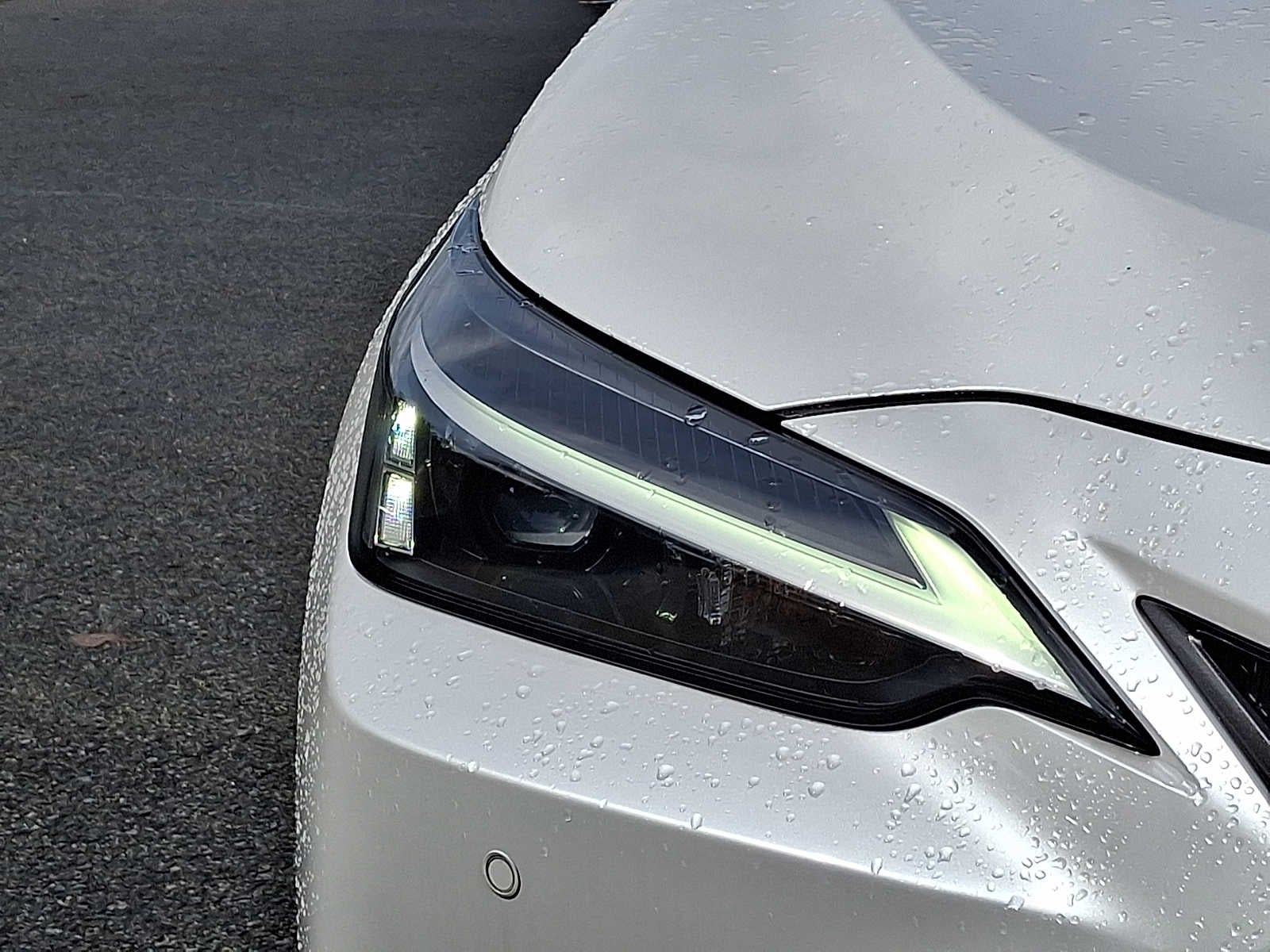 2025 Lexus NX NX 350 Premium
